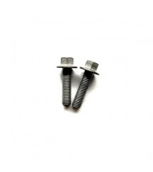 Flange screw 20405504